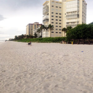 Vanderbilt Beach | photo" proshob