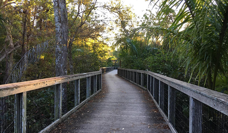 Conservation Collier PHoto: https://www.colliercountyfl.gov/your-government/divisions-a-e/conservation-collier