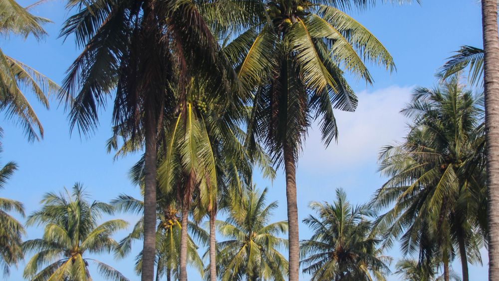 Port Royal House is the #1 Most Expensive in May