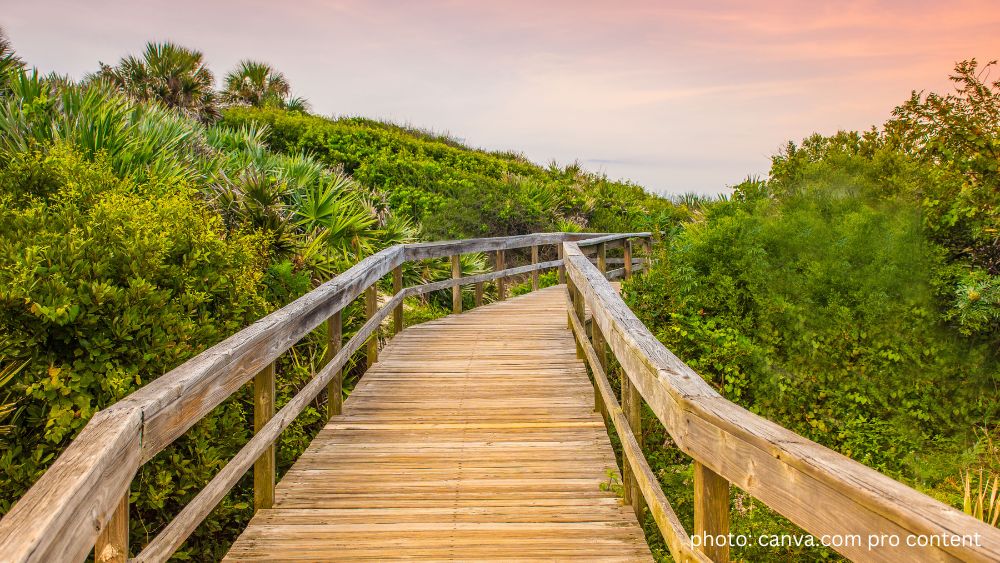 Florida walking trail. photo: canva.com