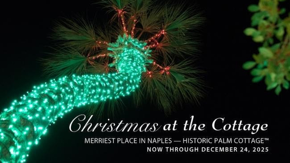 night photo of palm tree trunk wrapped in green lights. Naples Historical Society Cottage Briefs