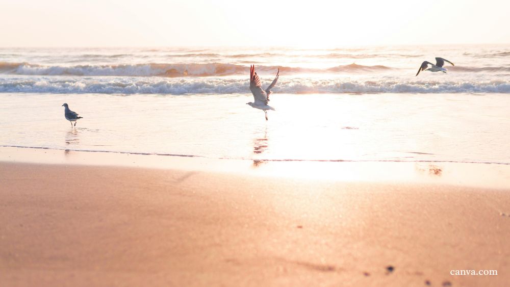 Marco Island’s JW Marriott sold. Find out to whom and for how much